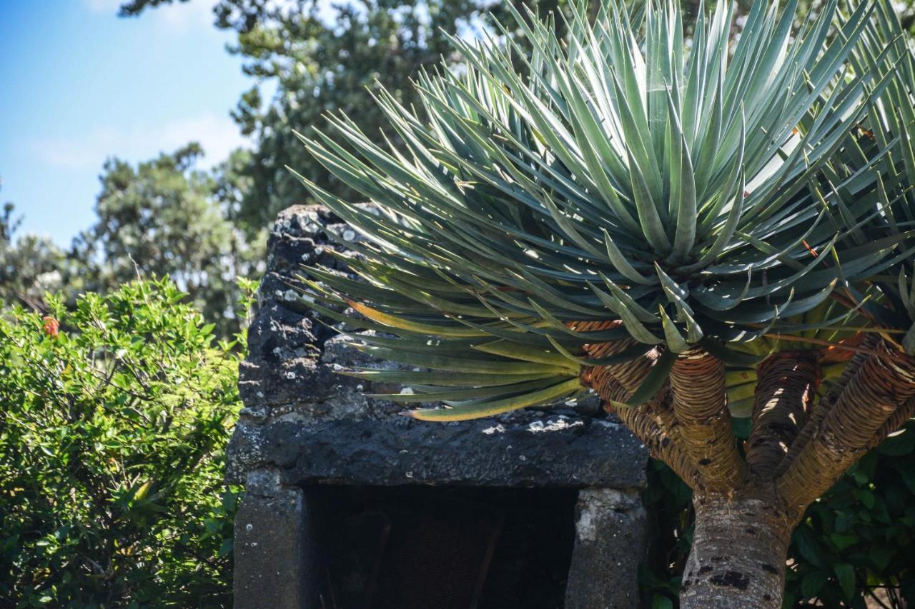 Quinta Dos Frutos Βίλα Santa Cruz da Graciosa Εξωτερικό φωτογραφία